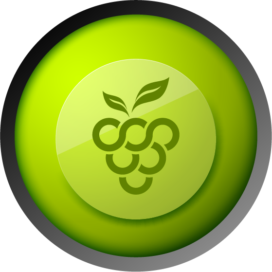 Grapes Book Factory